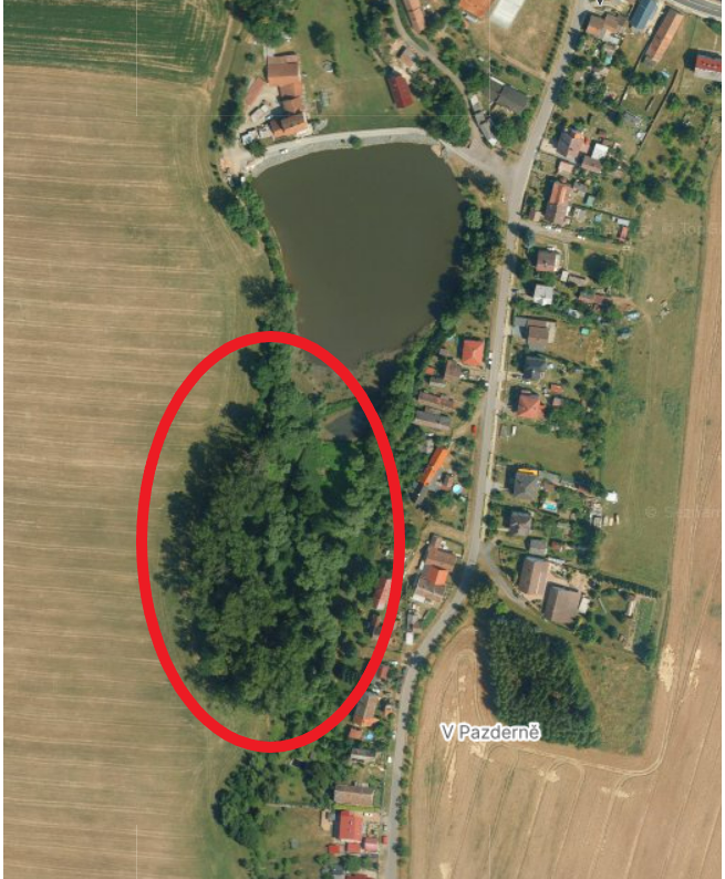 Fotografie příspěvku v galerii: 1