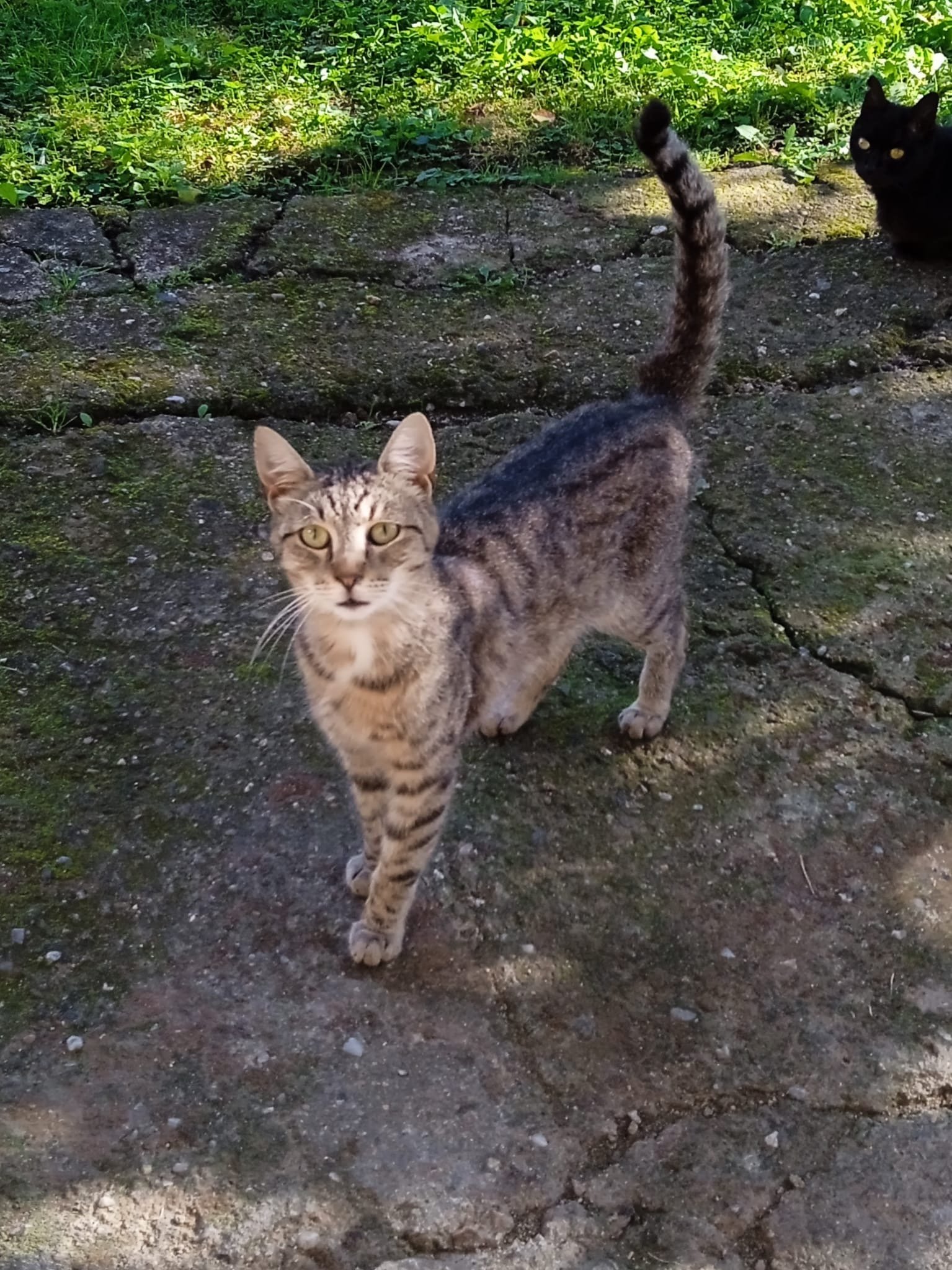 Fotografie příspěvku v galerii: 1