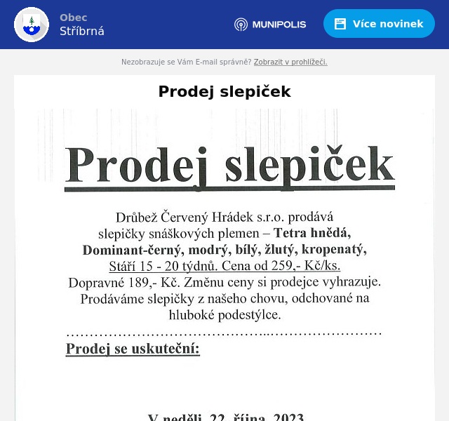 Náhledový obrázek článku: Prodej slepiček