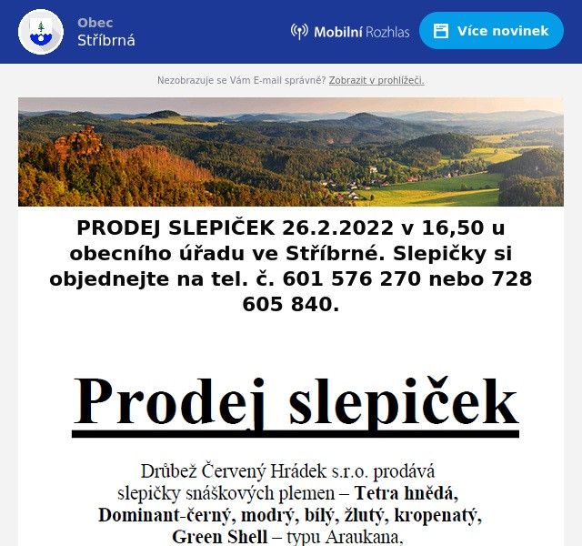 Náhledový obrázek článku: Prodej slepiček