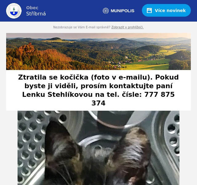 Náhledový obrázek článku: Ztratila se kočička