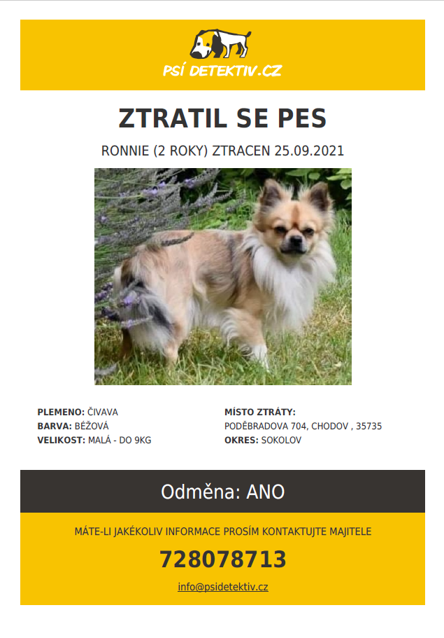 Náhledový obrázek článku: Psí detektiv