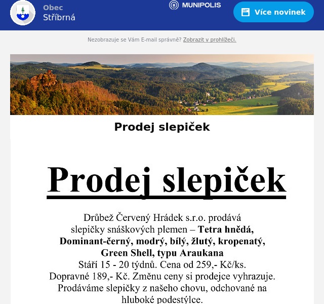 Náhledový obrázek článku: Prodej slepiček