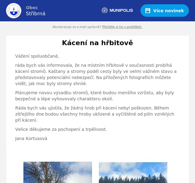 Náhledový obrázek článku: Kácení na hřbitově