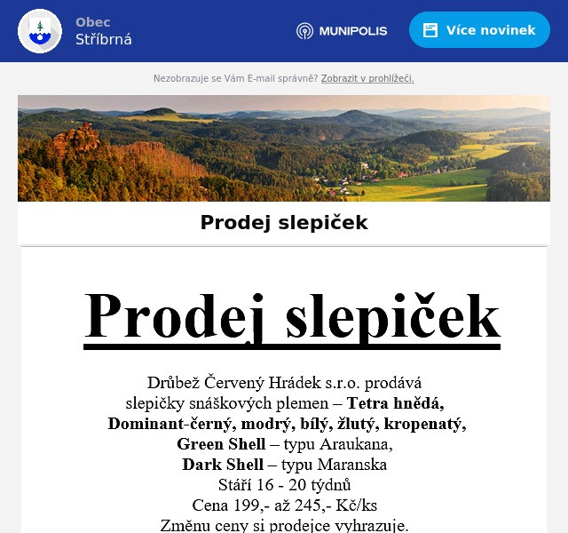 Náhledový obrázek článku: Prodej slepiček