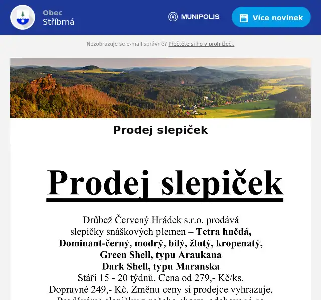 Náhledový obrázek článku: Prodej slepiček