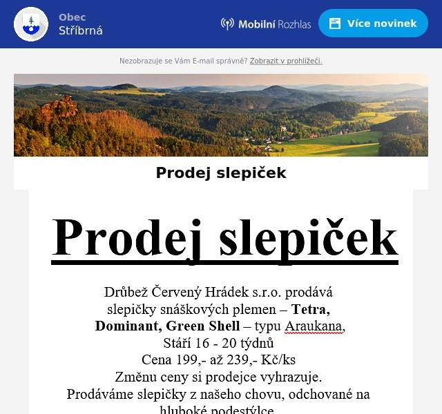 Náhledový obrázek článku: Prodej slepiček