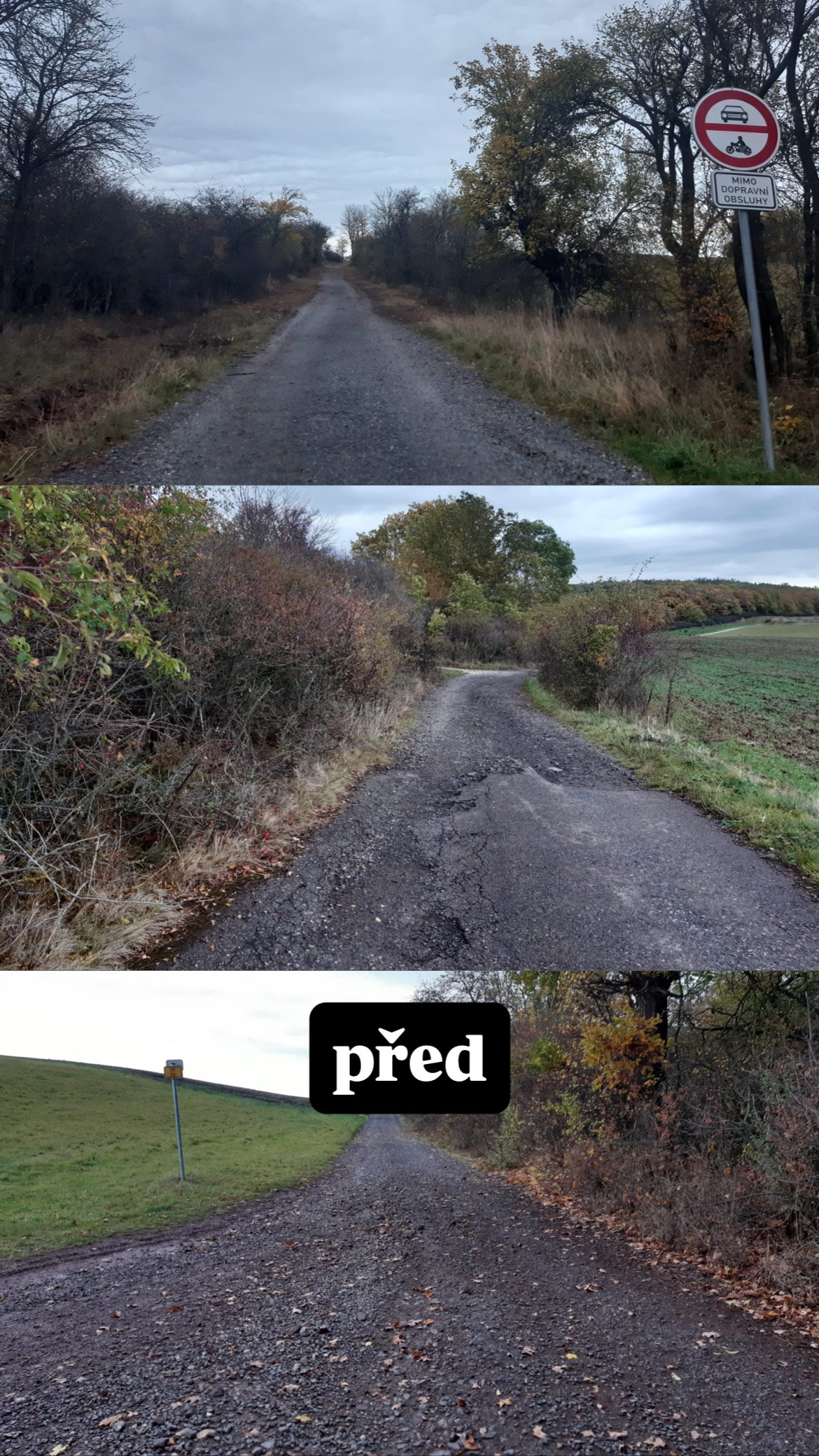 Fotografie příspěvku v galerii: 1