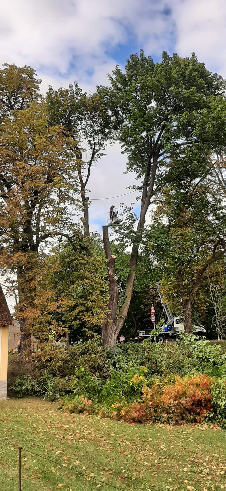 Fotografie příspěvku v galerii: 1