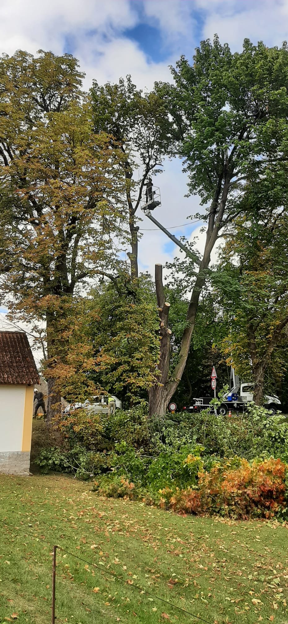Fotografie příspěvku v galerii: 10
