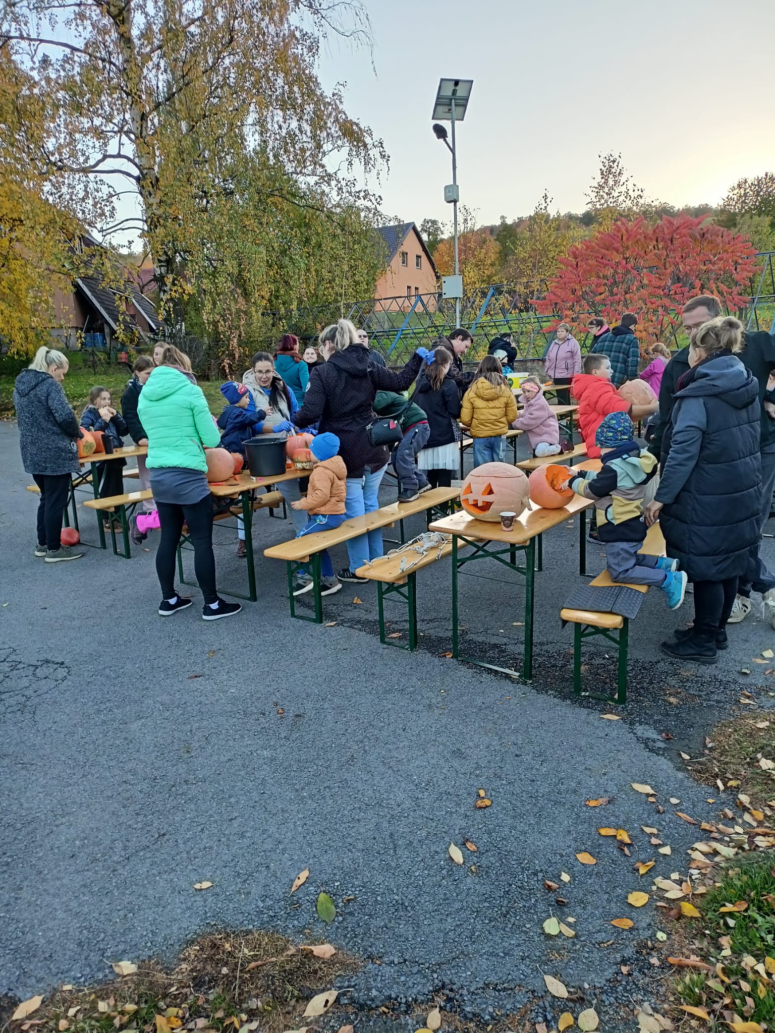 Fotografie příspěvku v galerii: 14