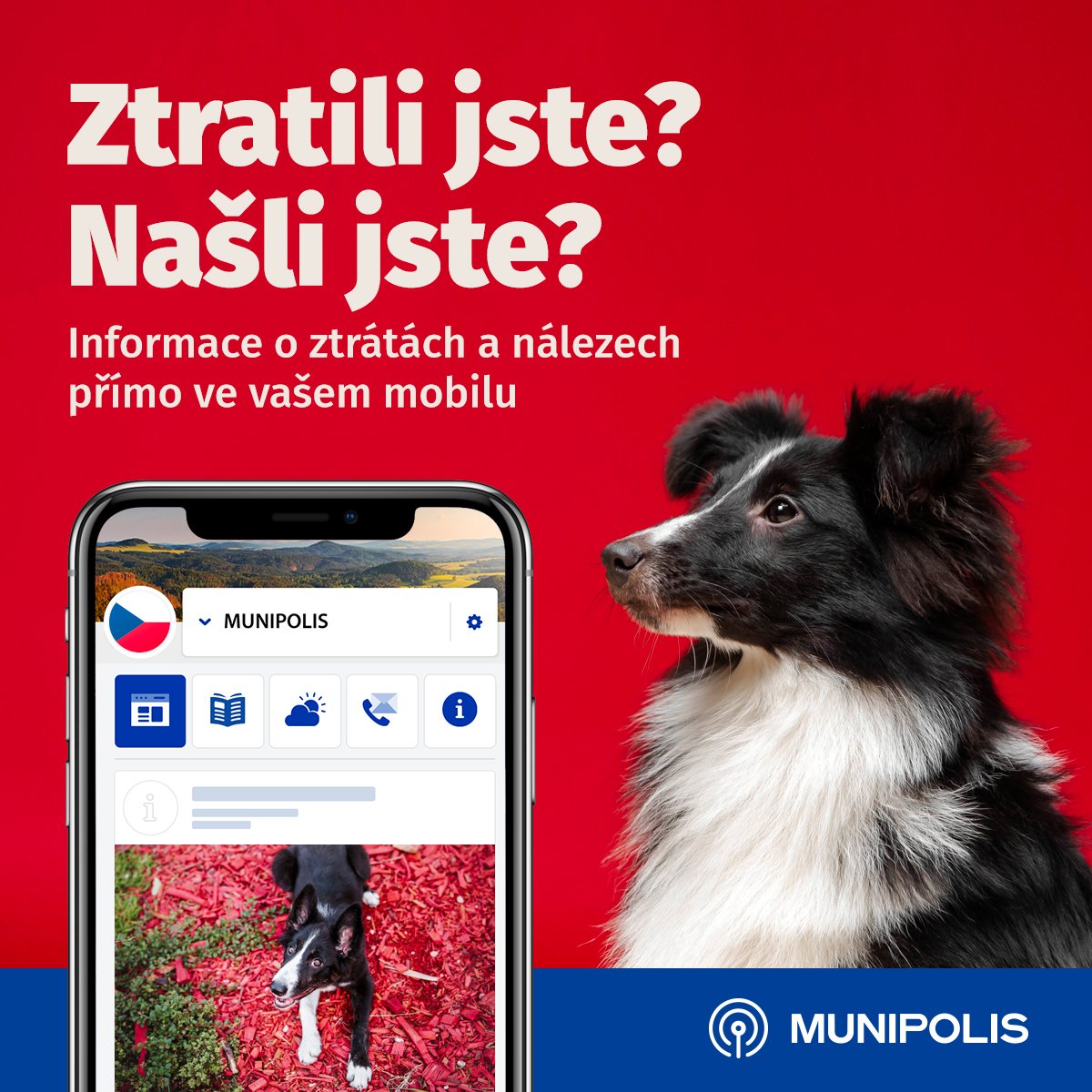 Fotografie příspěvku v galerii: 2