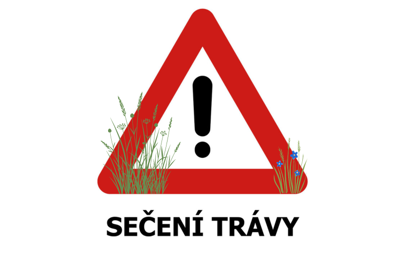 Ilustrační obrázek RSS příspěvku