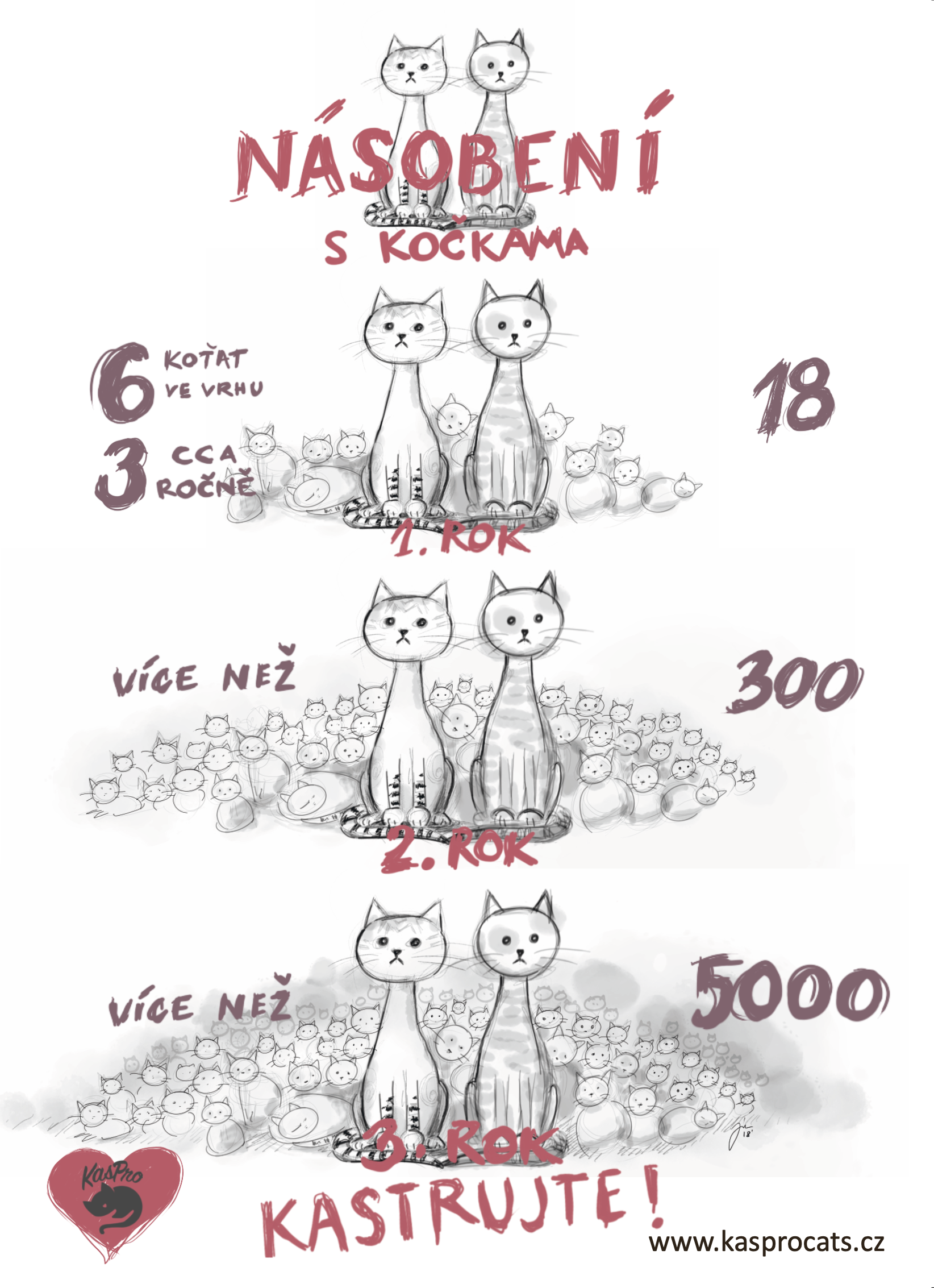 Fotografie příspěvku v galerii: 2