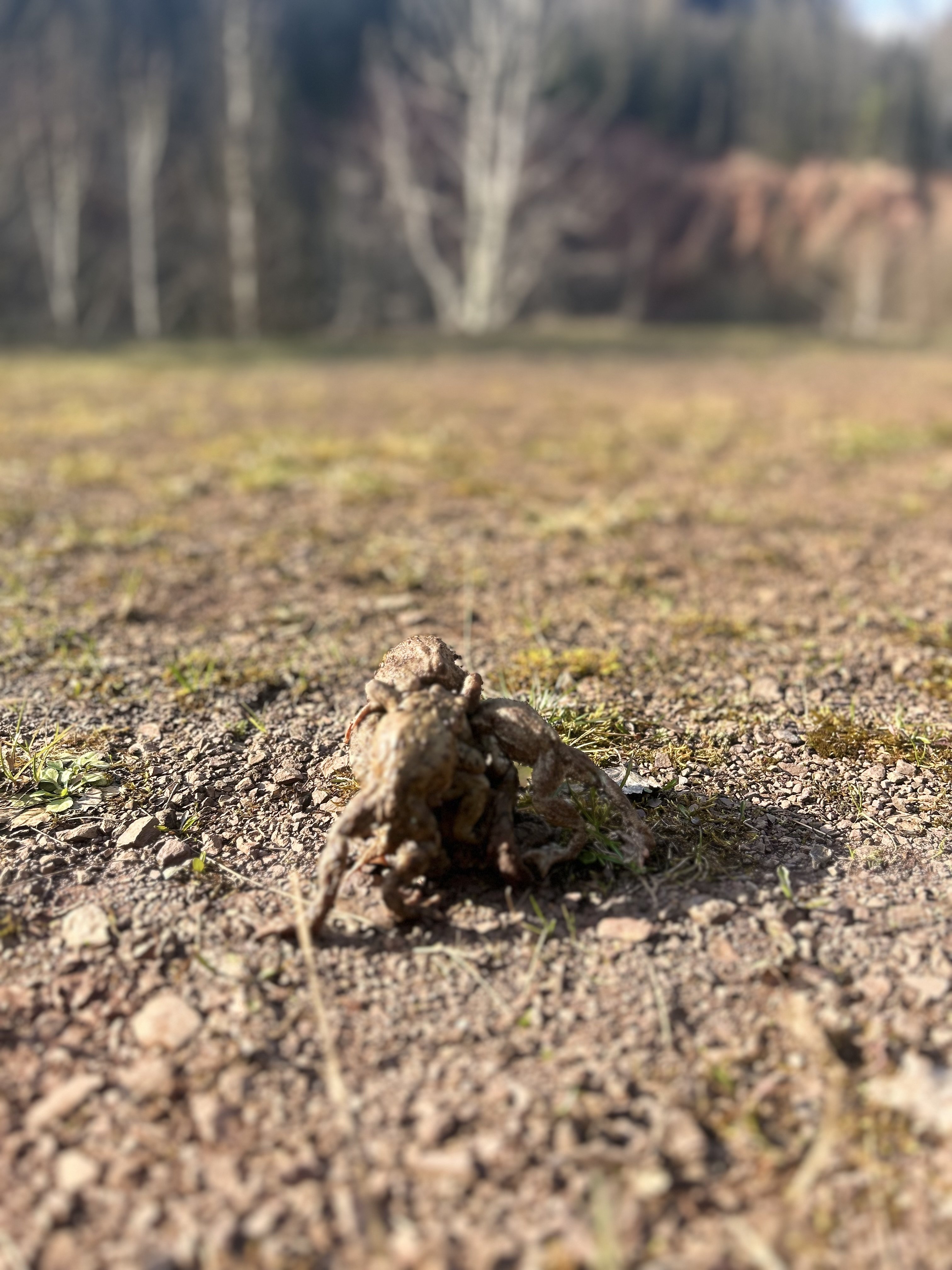 Fotografie příspěvku v galerii: 2