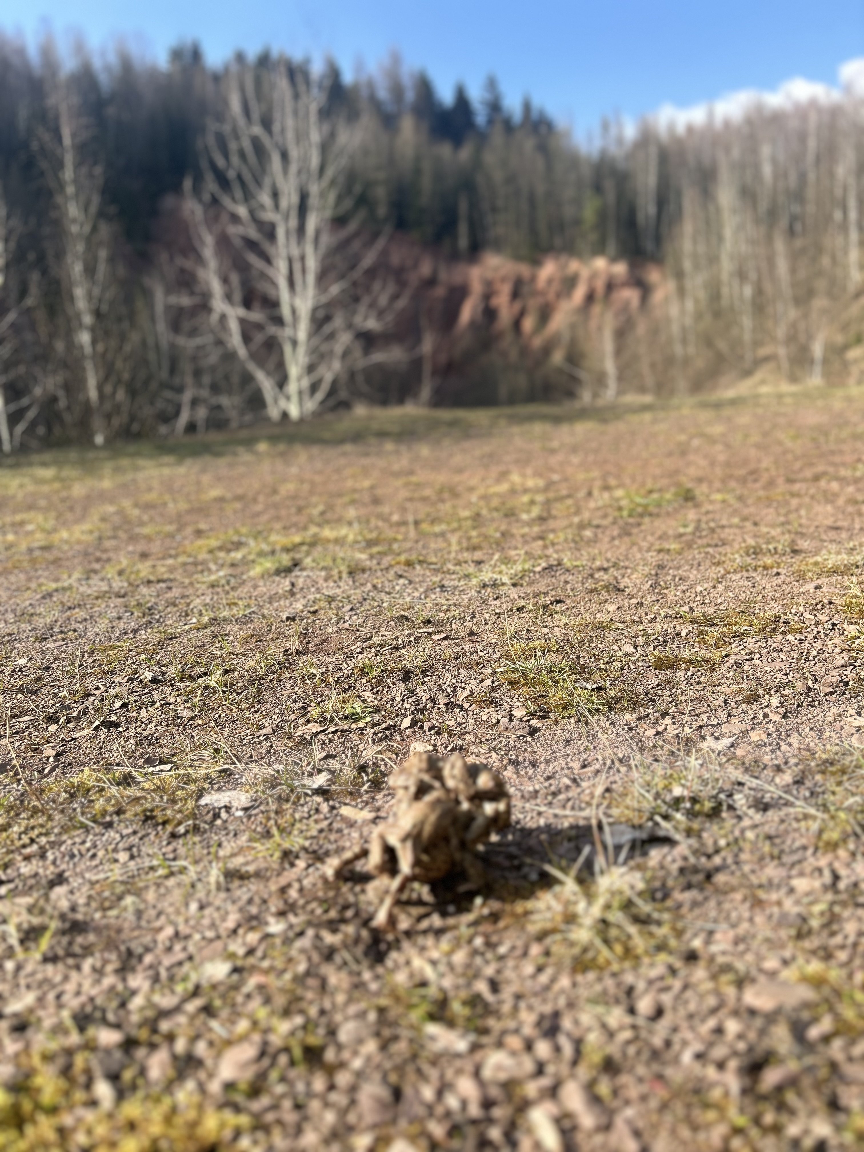 Fotografie příspěvku v galerii: 3