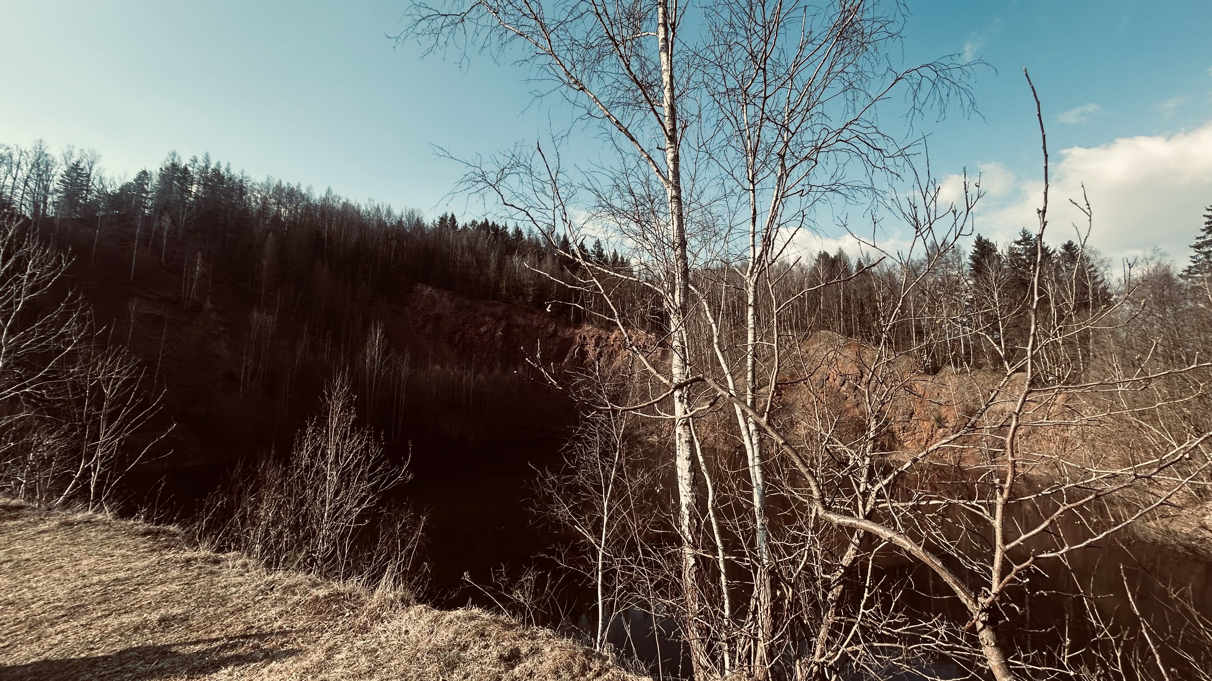 Fotografie příspěvku v galerii: 4